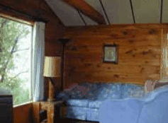 The Pines Resort - Accommodation Gladstone