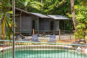 Safari Lodge - Accommodation Gladstone
