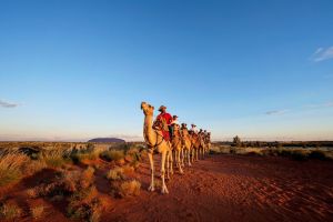 Uluru Small-Group Tour by Camel at Sunrise or Sunset - Accommodation Gladstone